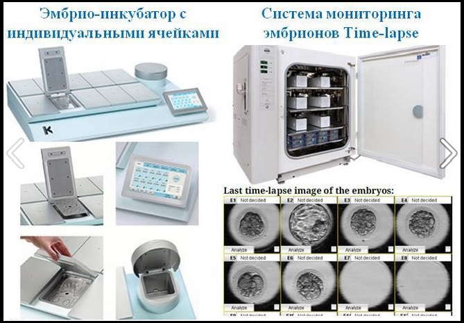 Time-Lapse инкубатор.jpg