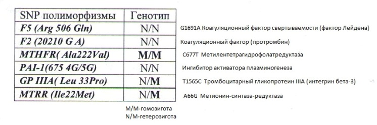 полиморфизм генов-копия.jpg