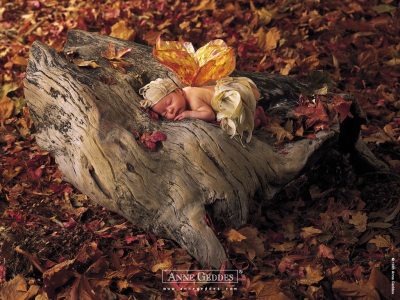 Child by Anne Geddes 02.jpg