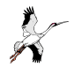 Свитчайлд