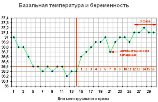 Измерение базальной температуры