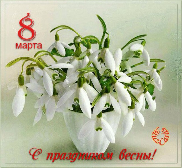 ImageUploadedByФорум Пробирка.ру1457429777.291630.jpg