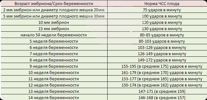 chastota-serdechnyh-sokrashchenii-ploda-norma.jpg