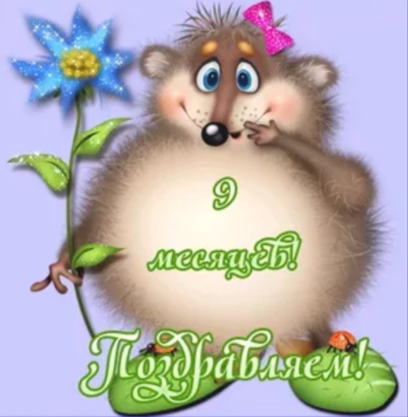 IMG_20190512_123425.jpg