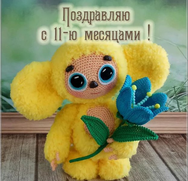 IMG_20191014_110701.jpg