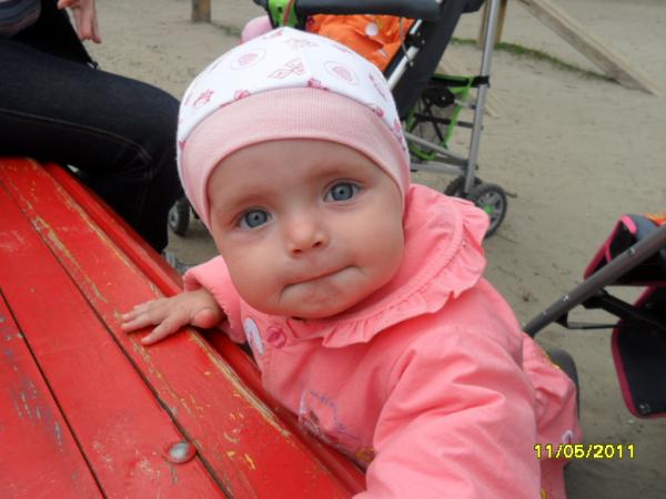 SAM_16288.JPG
