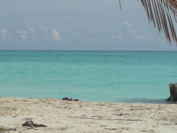 x_084df836.jpg