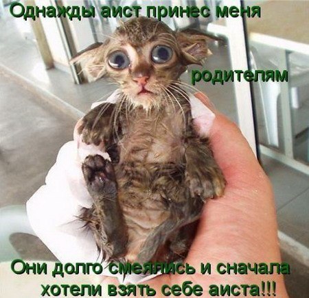 x_ab987878.jpg