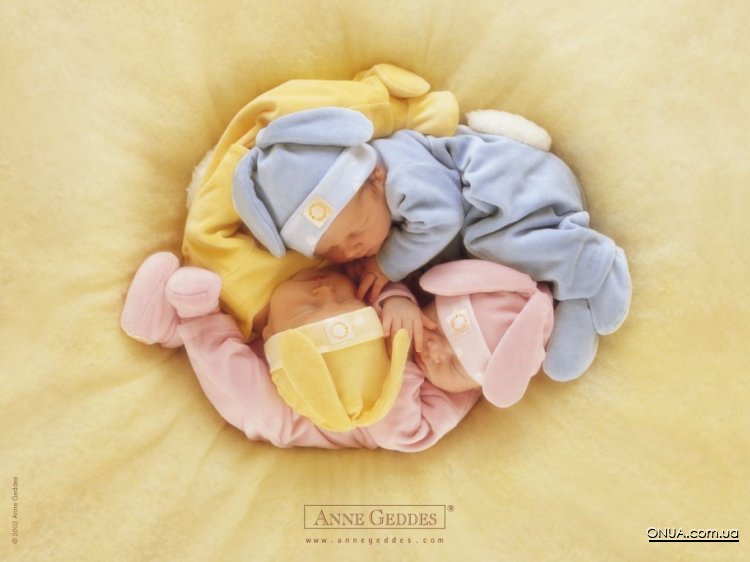 1233342470_anne_geddes_31.jpg