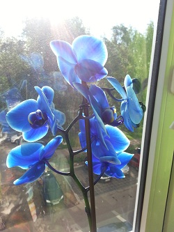 20130613_095806.jpg