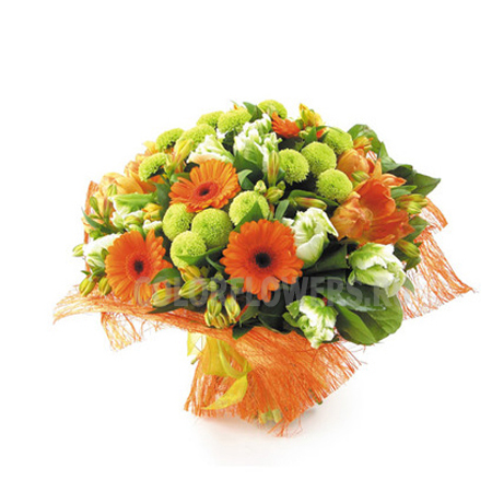 gerbera_v_upakovke.jpg