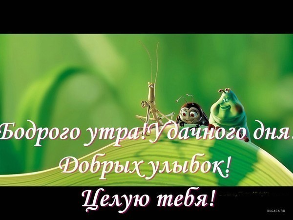 6122a84af10fcb45845c2c38bbb4791c.jpg
