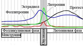 Лютеинизирующий гормон: роль в планировании беременности