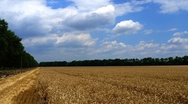 На Кубани родилось более 750 "детей ЭКО" На Кубани родилось более 750 "детей ЭКО"