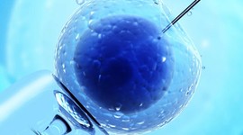 В Британии заметно снизилось число многоплодных беременностей
