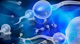 Создано устройство для отбора лучших сперматозоидов
