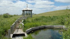 В Оренбуржье стало больше бесплатных ЭКО В Оренбуржье стало больше бесплатных ЭКО