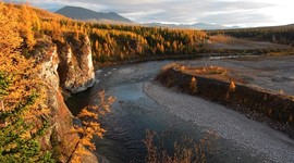 В Коми растет число бесплатных ЭКО В Коми растет число бесплатных ЭКО