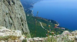 Чаще всего женщины беременеют в Крыму Чаще всего женщины беременеют в Крыму