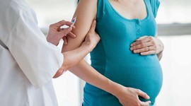 Вакцинация при беременности не повышает риск осложнений