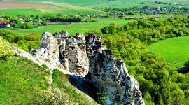 В Воронежской области родилось 172 ЭКО-малыша