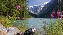 Бесплатное ЭКО на Алтае делают по плану