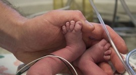 В Чехии родился ребенок из матки нерожавшего донора  