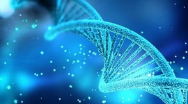 Тест покажет вероятность выкидыша на раннем сроке Тест покажет вероятность выкидыша на раннем сроке
