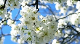 Пробирке 10 лет: Розыгрыш бесплатного ЭКО! Пробирке 10 лет: Розыгрыш бесплатного ЭКО!