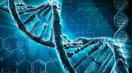 «Ответственность» генов за развитие наследственных болезней преувеличена