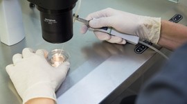 В Брянске открылась первая частная клиника ЭКО В Брянске открылась первая частная клиника ЭКО