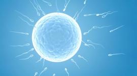 В Британии растет потребность в донорах спермы