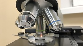 Цинк и фолиевая кислота не улучшают мужское здоровье