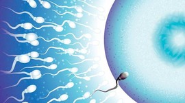 Британия опубликовала статистику по донорам спермы