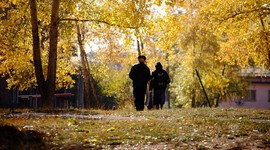 Ученые: секс способствует скорейшему старению Ученые: секс способствует скорейшему старению
