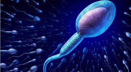 Коронавирус обнаружен в сперме пациентов