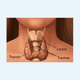 Щитовидной железы патологии