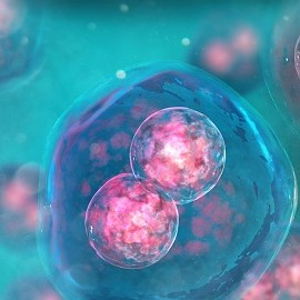 Микровибрационное  культивирование эмбрионов