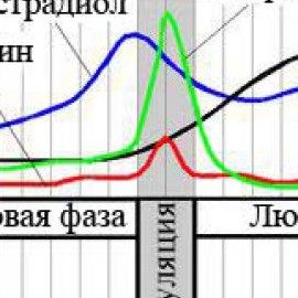 Лютеинизирующий гормон: роль в планировании беременности