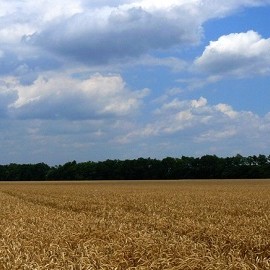 На Кубани родилось более 750 "детей ЭКО"