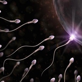 Звуковые волны используются для отбора спермы при ЭКО