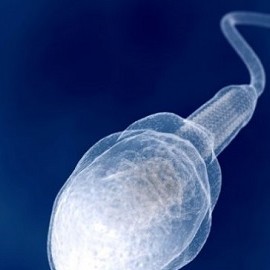 В Британии мужчинам могут разрешить посмертное донорство спермы