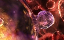 Стволовые клетки возвращают женщинам фертильность после химиотерапии Стволовые клетки возвращают женщинам фертильность после химиотерапии
