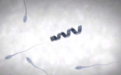 Нанотехнологии помогут лечить мужское бесплодие
