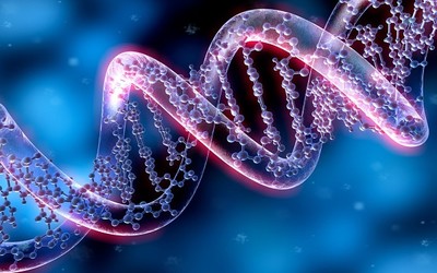 Преимплантационное генетическое тестирование (ПГТ) – что это такое?