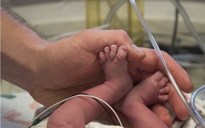 Впервые в мире: женщина родила после пересадки матки от мертвого донора