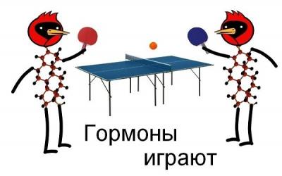 Гормоны влияют на зачатие. А человек – на гормоны Гормоны влияют на зачатие. А человек – на гормоны
