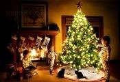 С Новым Годом! С Новым Годом!
