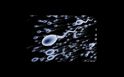 Кризис мужской фертильности: данные из Швейцарии