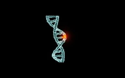 Генетическая мутация приводит к нарушению строения половых органов